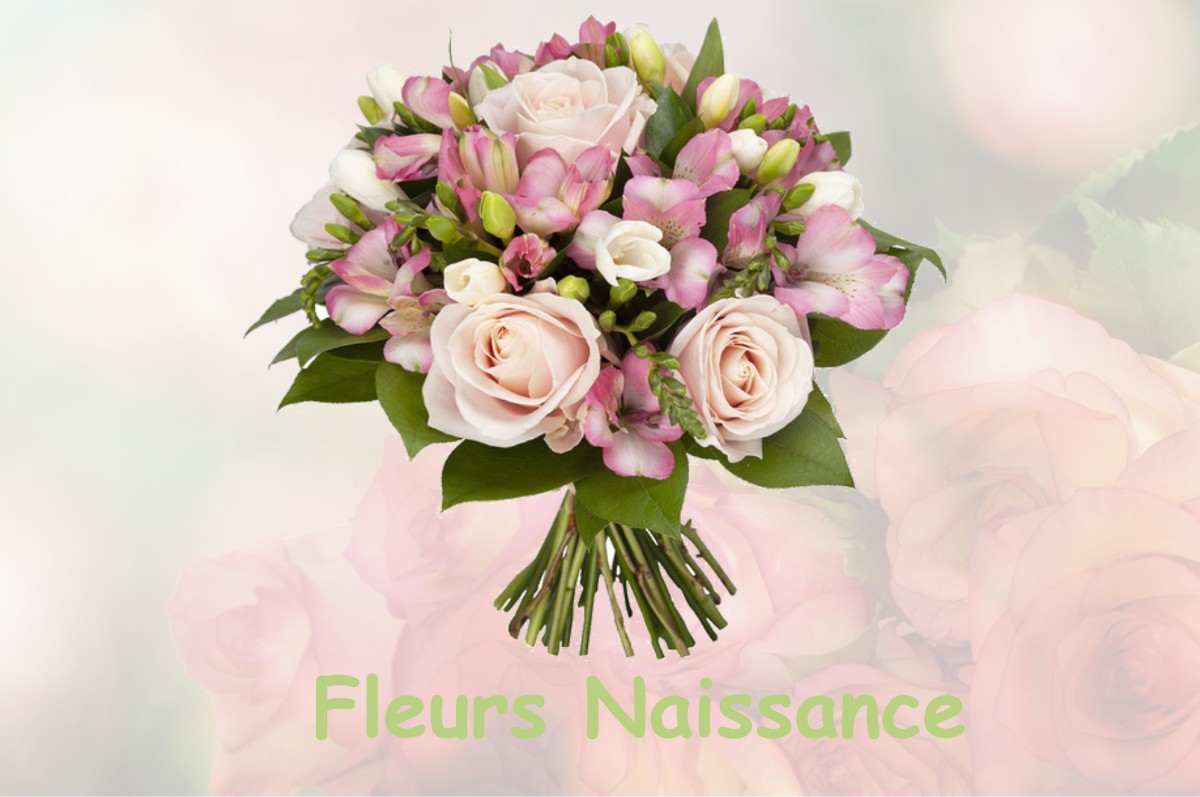 fleurs naissance LE-FOUILLOUX